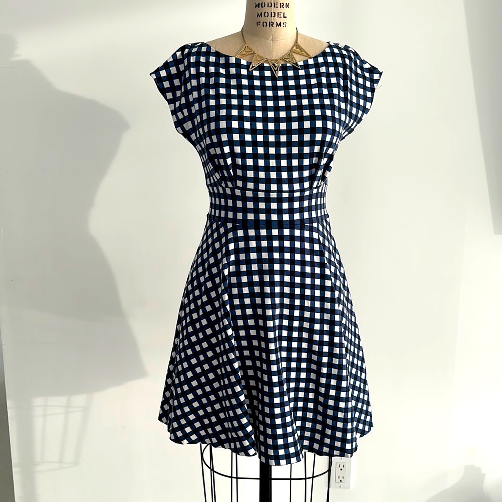 kate spade blue & white gingham pointe fiorella dress